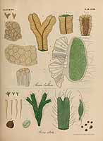  no thumbnail available