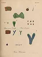  no thumbnail available