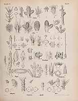  no thumbnail available