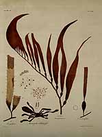  no thumbnail available