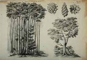  no thumbnail available