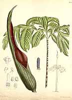  no thumbnail available