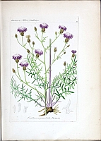  no thumbnail available