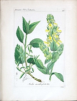  no thumbnail available