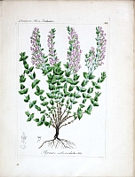  no thumbnail available