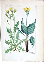  no thumbnail available