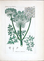  no thumbnail available