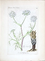  no thumbnail available