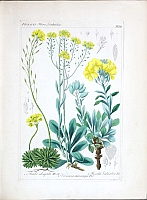  no thumbnail available