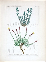  no thumbnail available