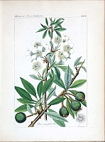  no thumbnail available