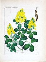  no thumbnail available