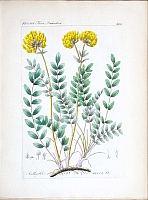  no thumbnail available