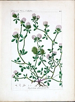  no thumbnail available