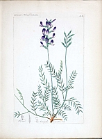  no thumbnail available