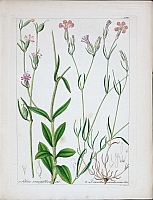  no thumbnail available