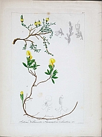  no thumbnail available