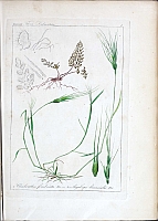  no thumbnail available