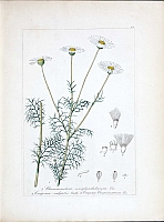  no thumbnail available