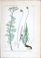  no thumbnail available