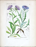  no thumbnail available