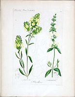  no thumbnail available