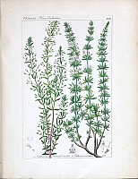  no thumbnail available