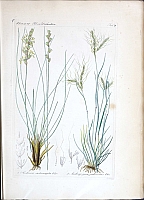  no thumbnail available