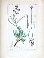  no thumbnail available