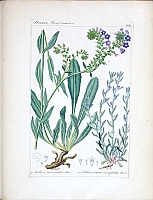  no thumbnail available