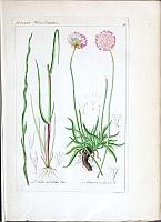  no thumbnail available