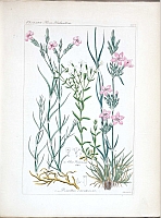  no thumbnail available