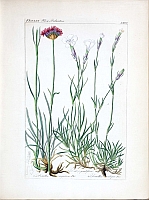  no thumbnail available