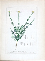  no thumbnail available