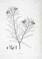  no thumbnail available