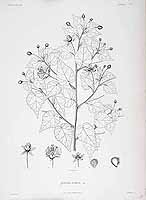  no thumbnail available