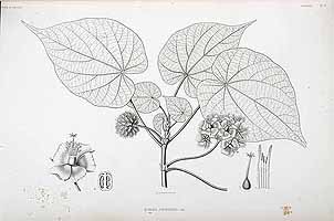  no thumbnail available