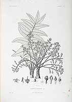  no thumbnail available