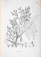  no thumbnail available