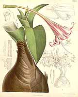  no thumbnail available