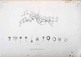  no thumbnail available