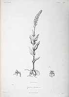  no thumbnail available