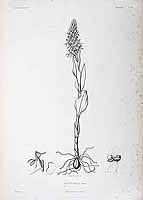  no thumbnail available