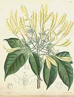  no thumbnail available