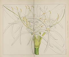  no thumbnail available