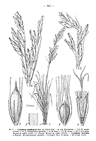  no thumbnail available