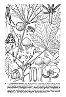  no thumbnail available