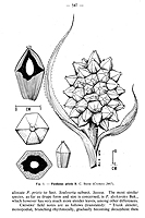  no thumbnail available