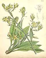  no thumbnail available