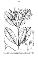  no thumbnail available